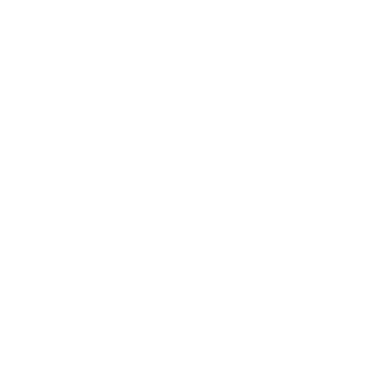 GREY GOOSE 灰雁